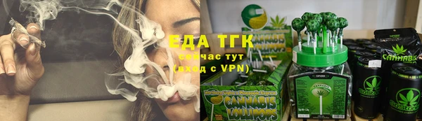 гашик Покровск