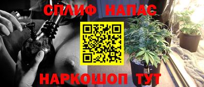 гашик Туймазы