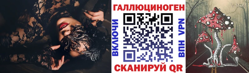 наркотики  Ртищево  Галлюциногенные грибы Psilocybe 