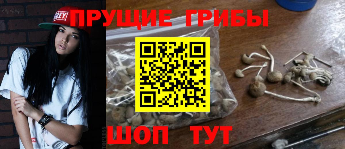 Псилоцибиновые грибы Psilocybine cubensis  Галлюциногенные грибы GOLDEN TEACHER  как найти наркотики  Ртищево  Вход с VPN 